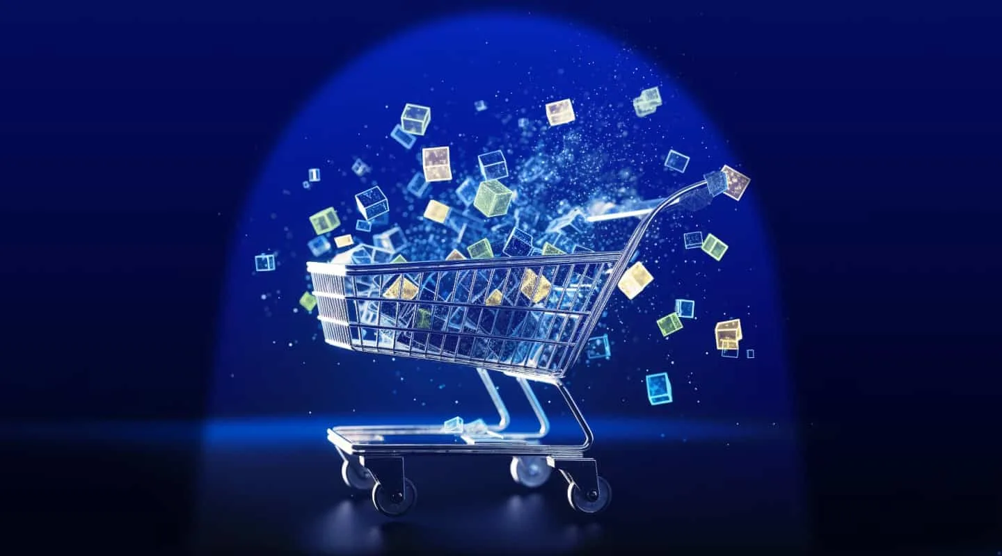 Lucknow E-Commerce Services